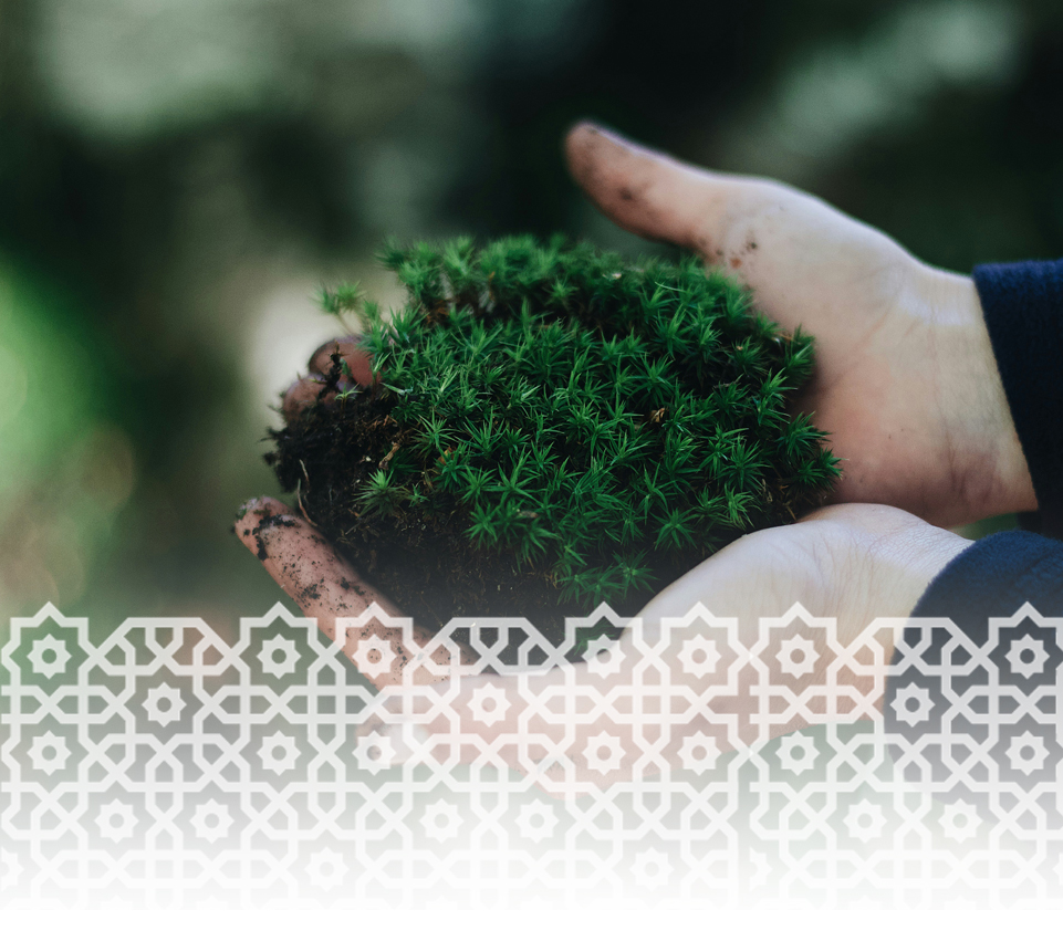 Sosteniendo un pedacito de cesped natural con ambas manos